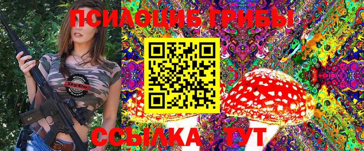 Псилоцибиновые грибы Psilocybine cubensis Новокубанск