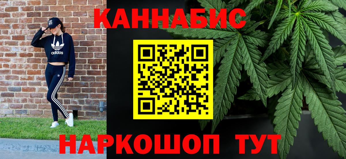 Каннабис семена Новокубанск